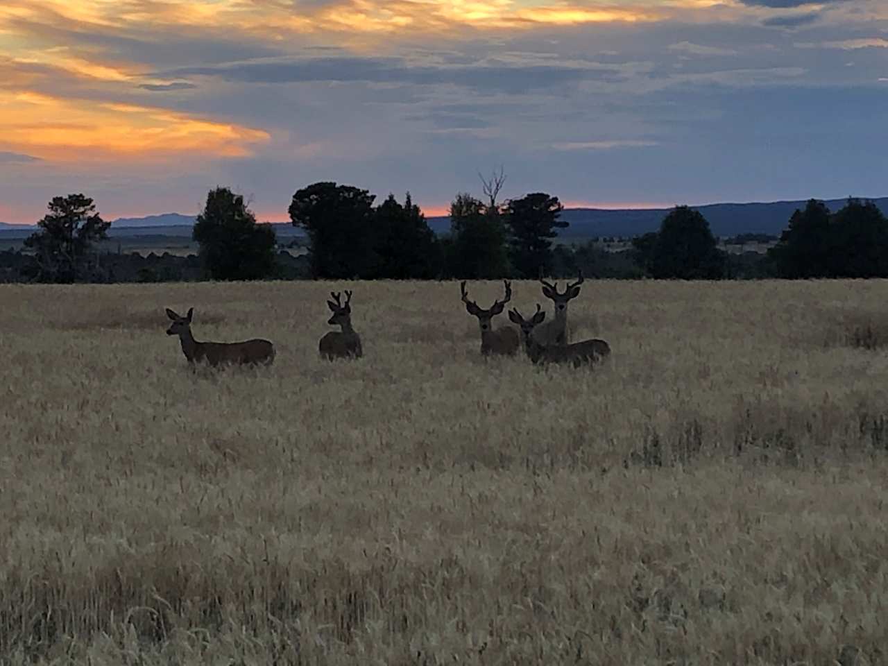 Tranquility @ The Farm