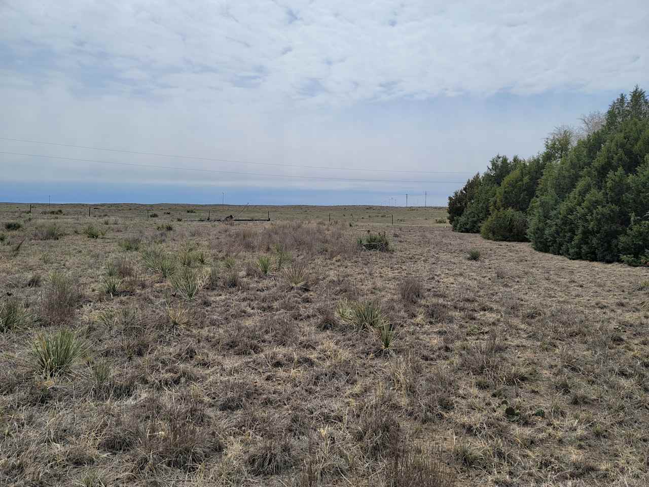 Open pasture sandhills