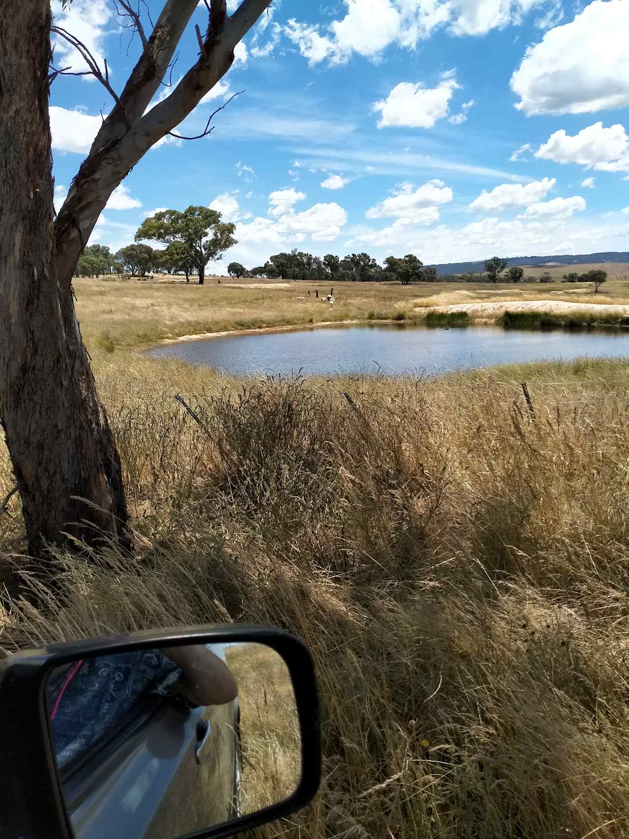 One of seven dams, ideal for Yabbys.