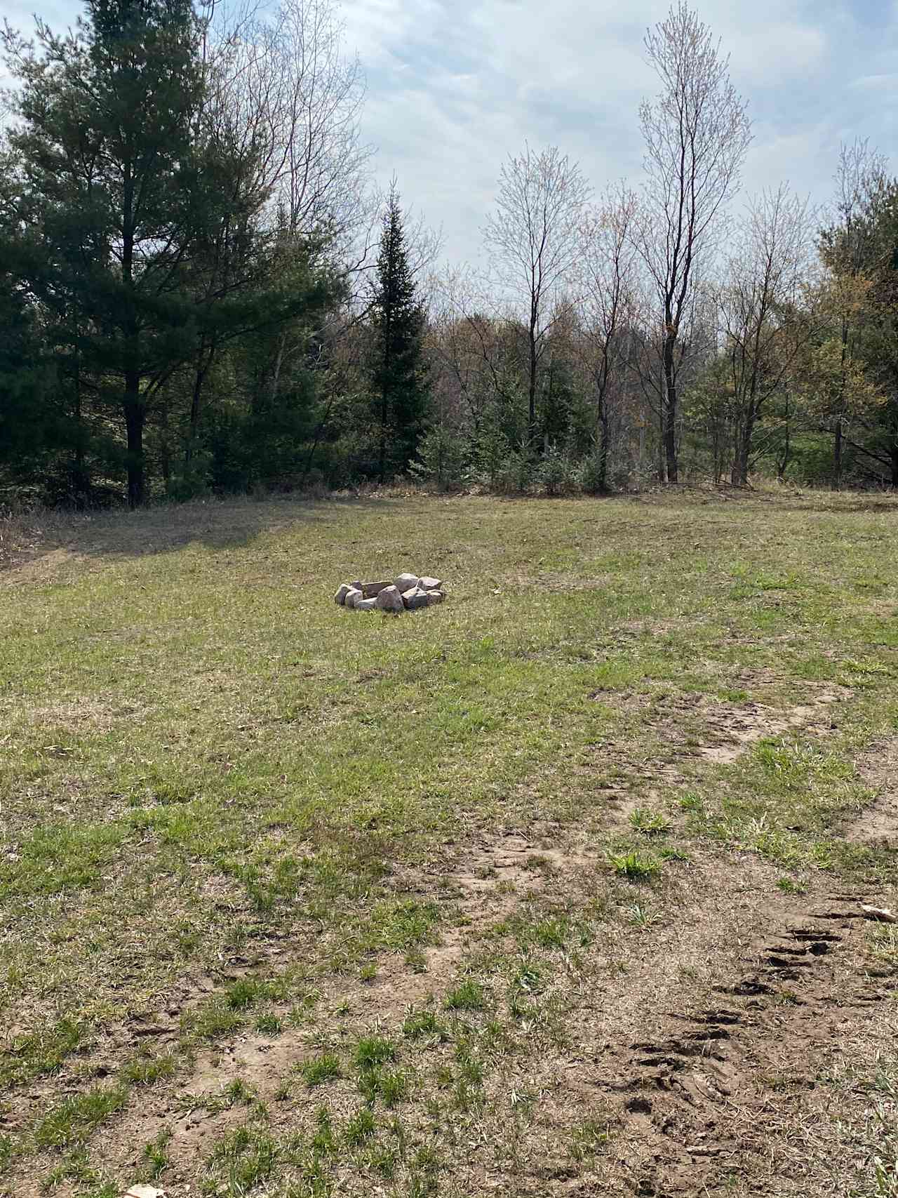 Campsite 1 starting to green up