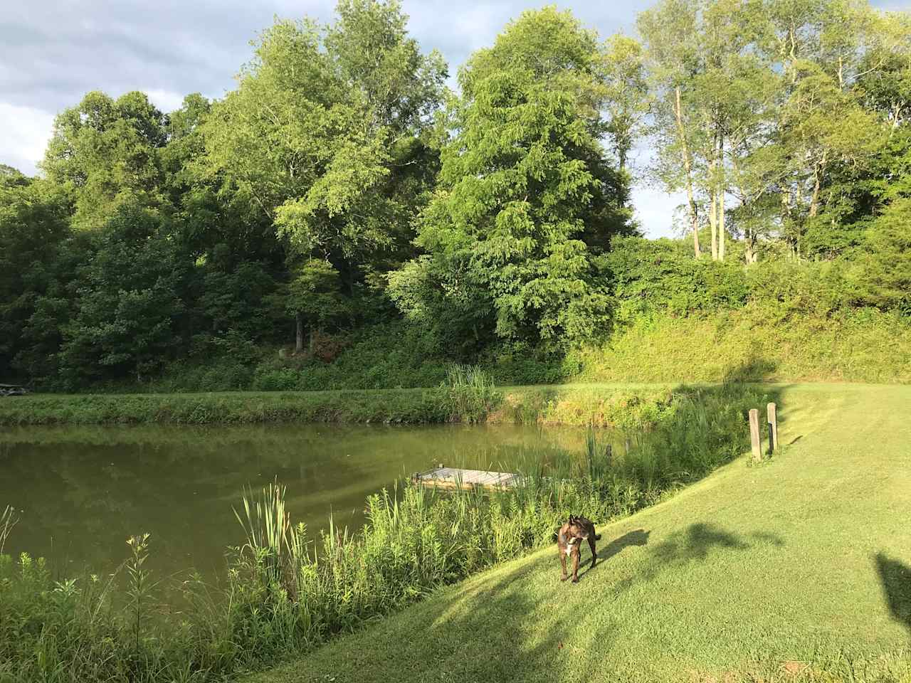 View of the pond, dock, and dam.  Camping and parking are permitted on the dam and camping is permitted along the right side of the pond as you approach it.   Picnic tables, firepit, and potable water are included in the camping fee. 