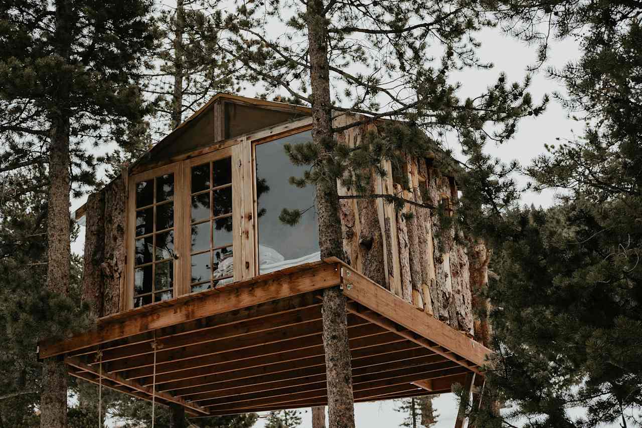 Gold Nugget Tree House