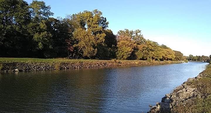 Picture taken in August from my side of canal. The NYS Canal bike path is on the opposite side.  The white spot way down there is the NYS Canal free boat launch. 