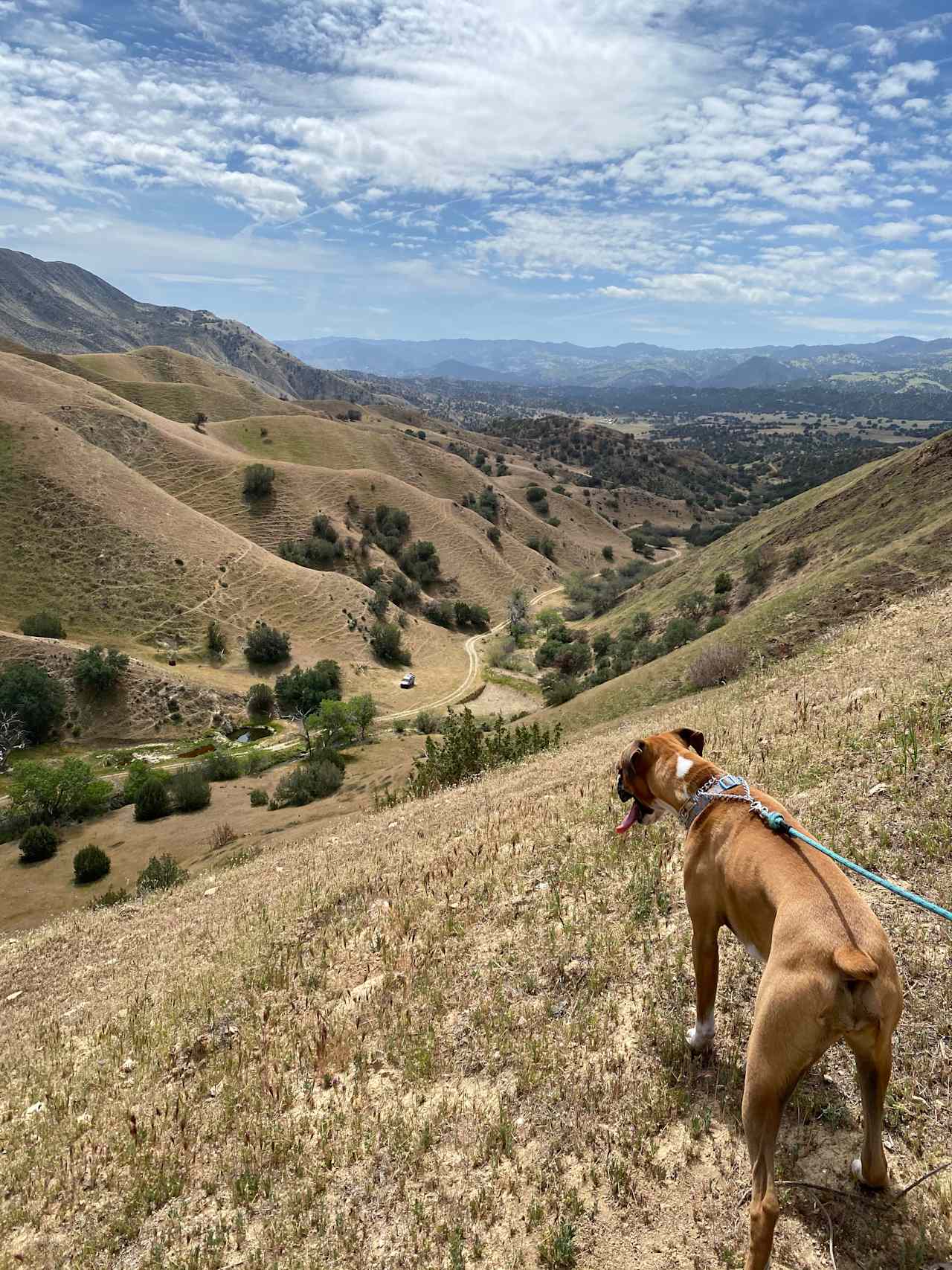 Beautiful views from the top!