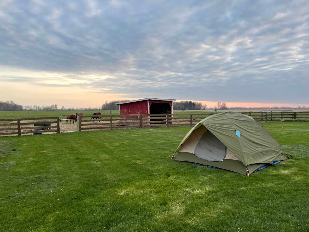 Camping on our Organic Farm