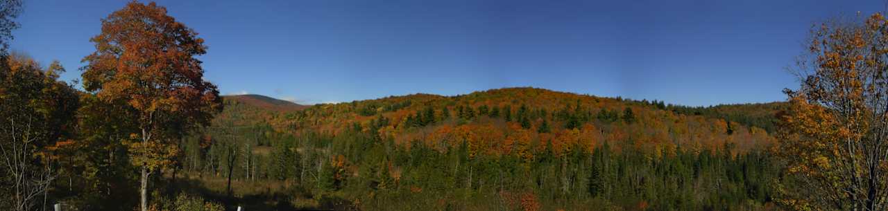 Sugar Mountain Farm & Forest