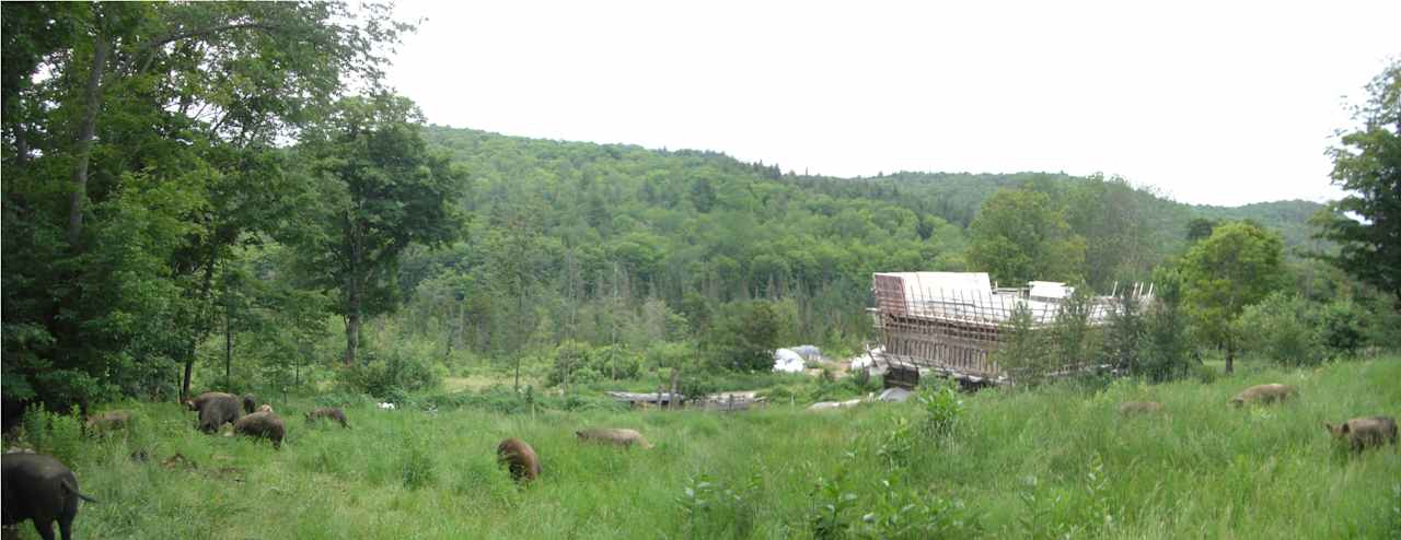 Sugar Mountain Farm & Forest