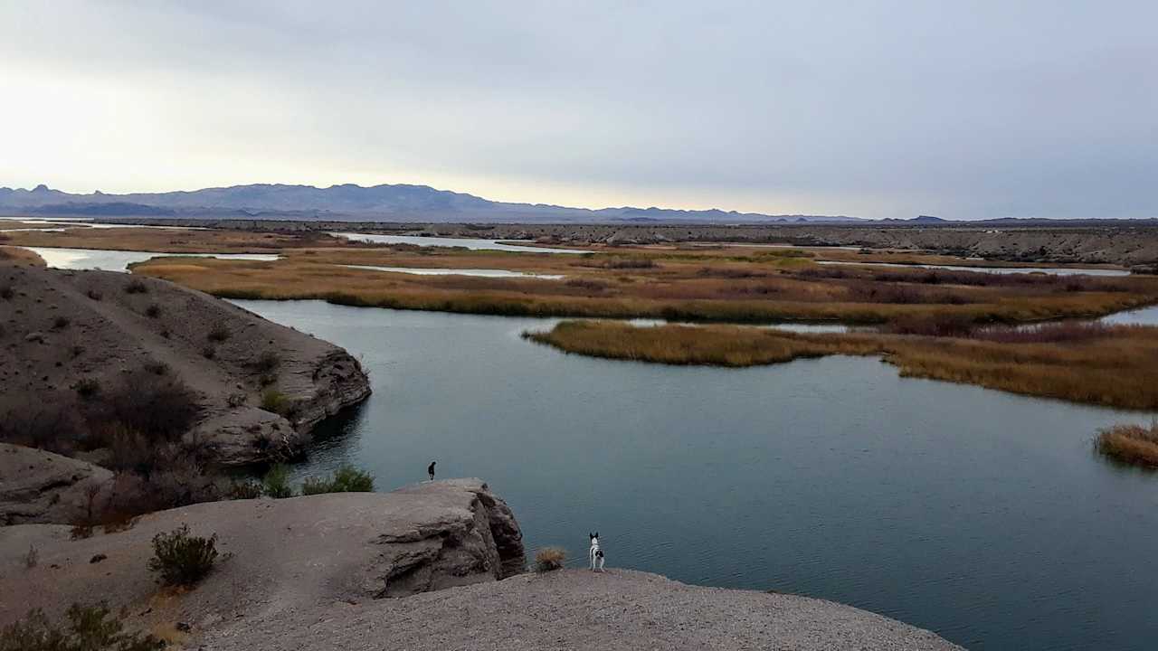 Overlooking the backwaters of the Colorado on your morning walk