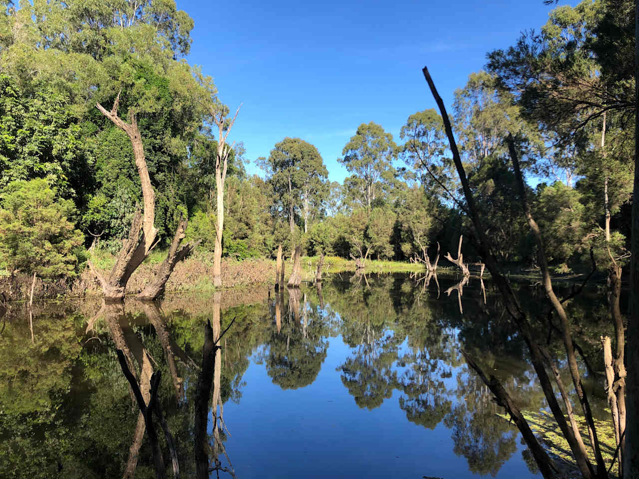 Paradise Lost on the Burnett