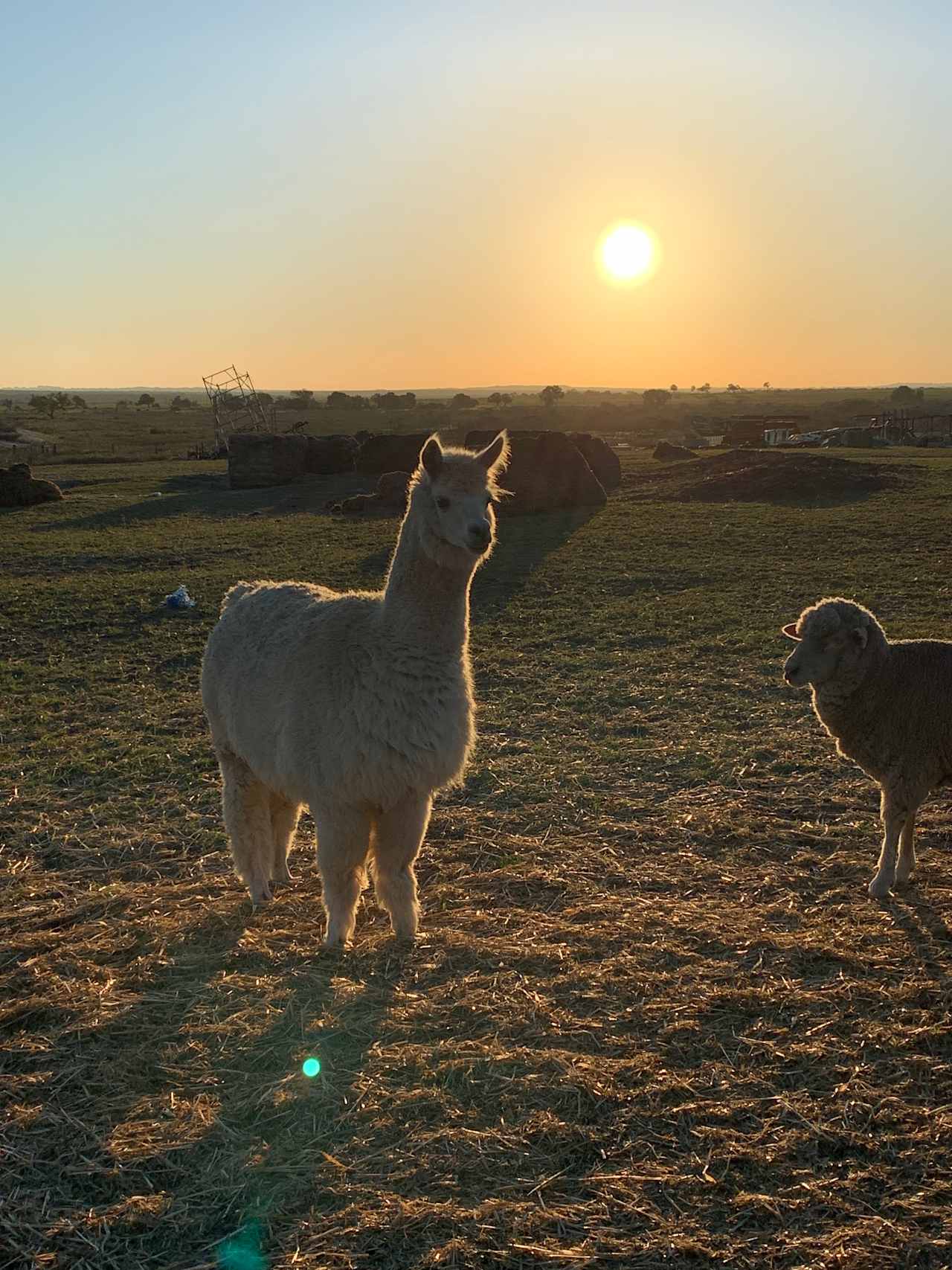 Nambung Station Stay