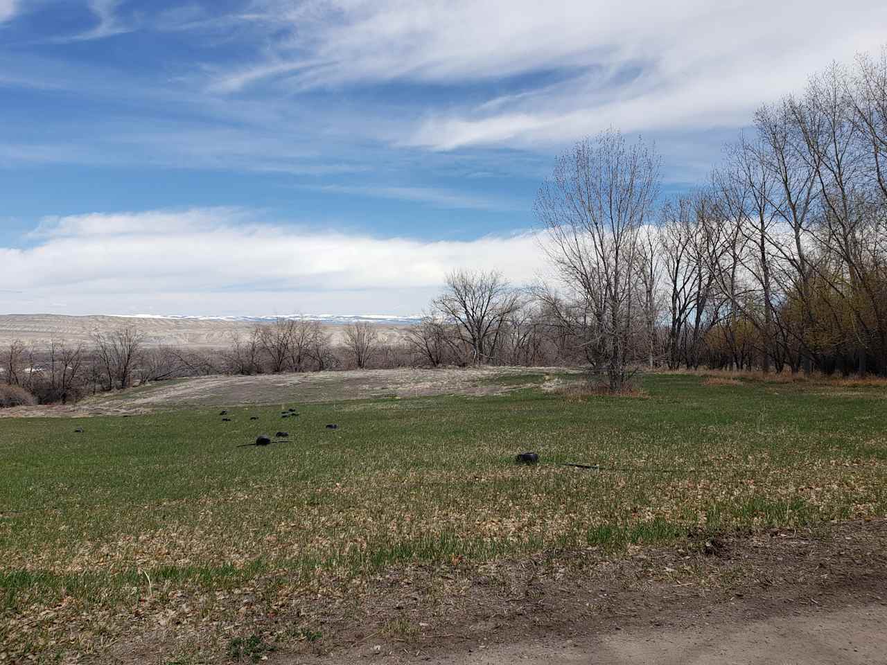 Wooded acres in Wyoming