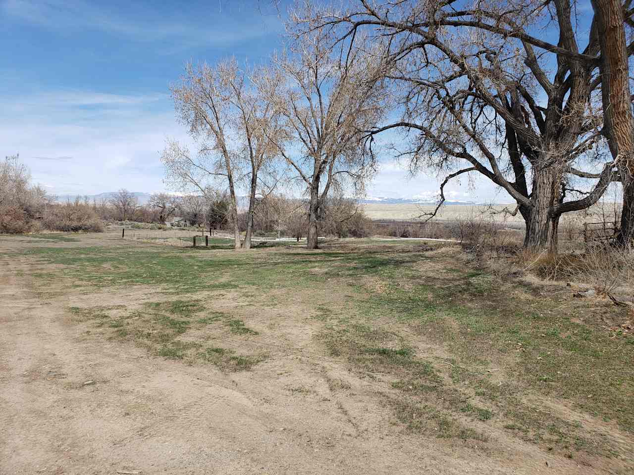 Wooded acres in Wyoming