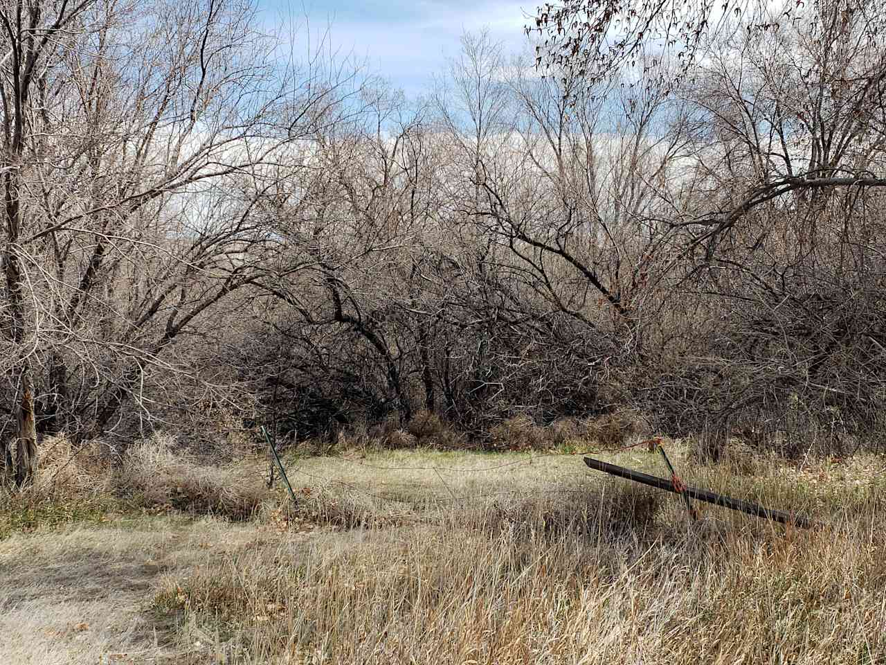 Wooded acres in Wyoming