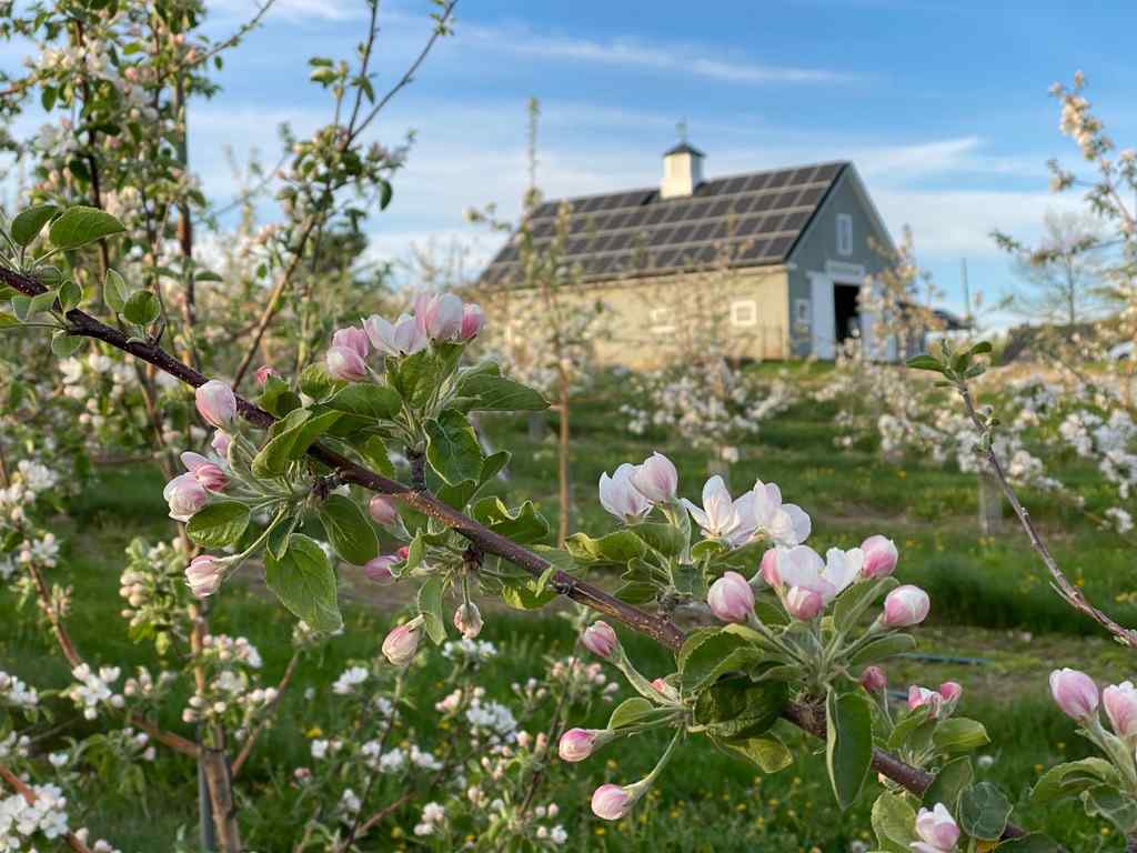 Treworgy Family Orchards