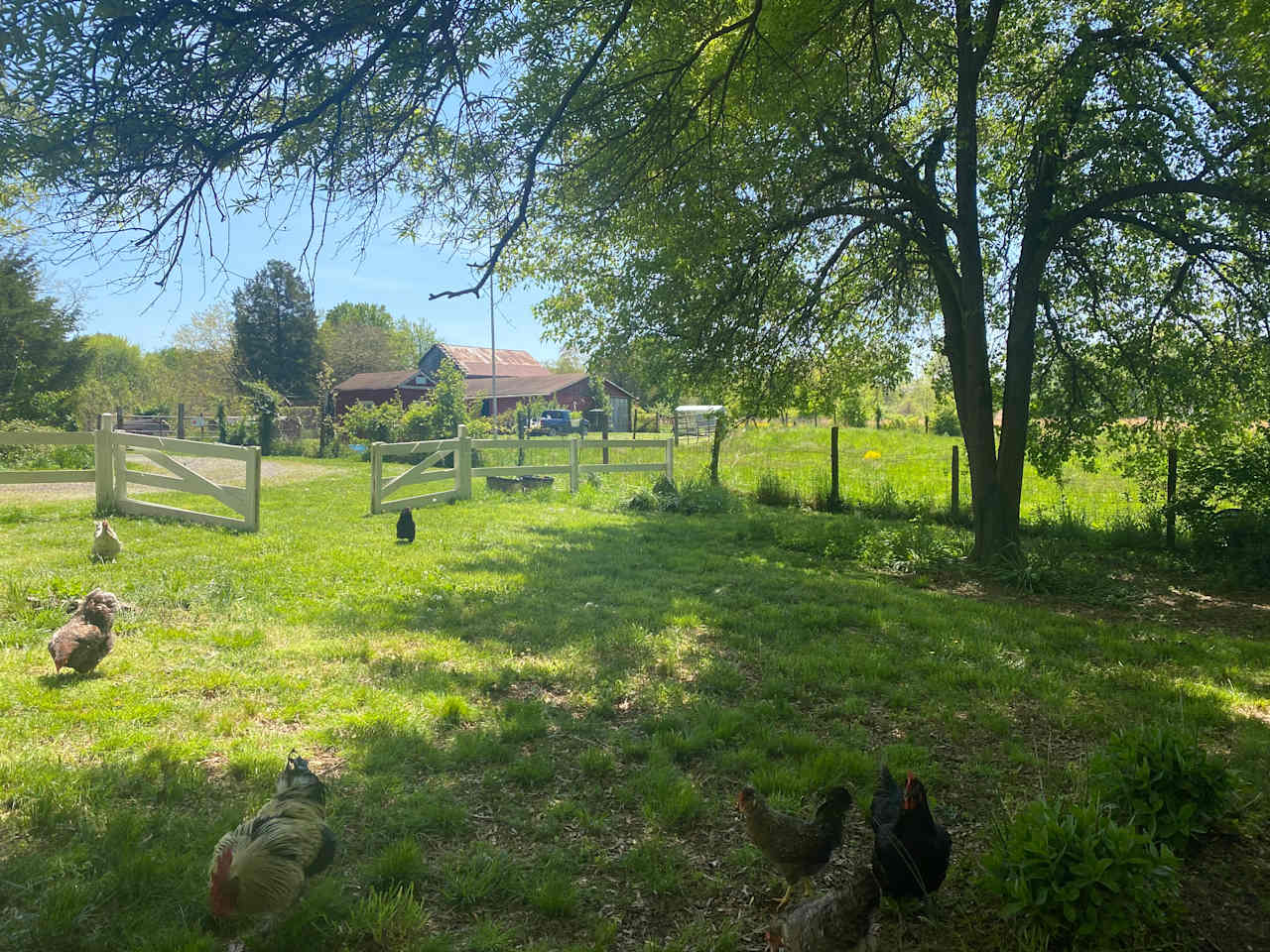 Farm field or Forest Bathing