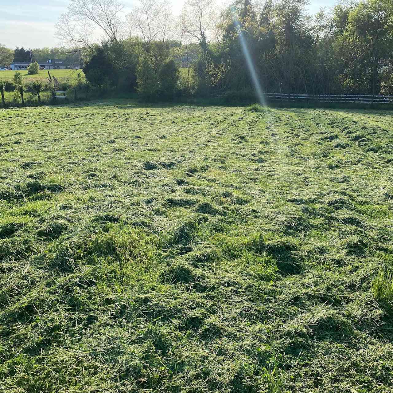 Farm field or Forest Bathing