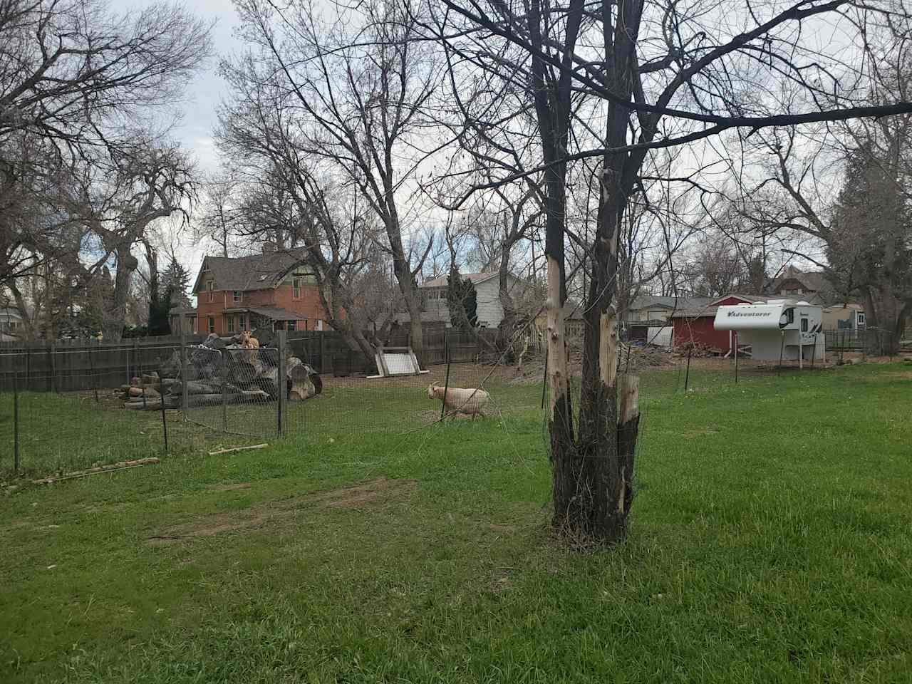 Historic Homestead Barn Yard