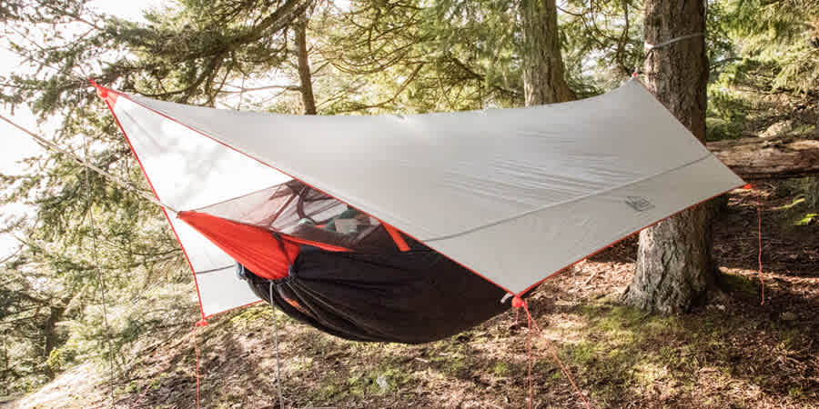 Juniper Rock Forest Camping