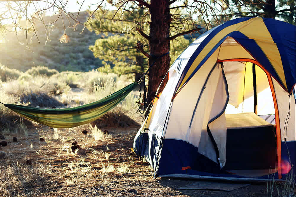 Juniper Rock Forest Camping