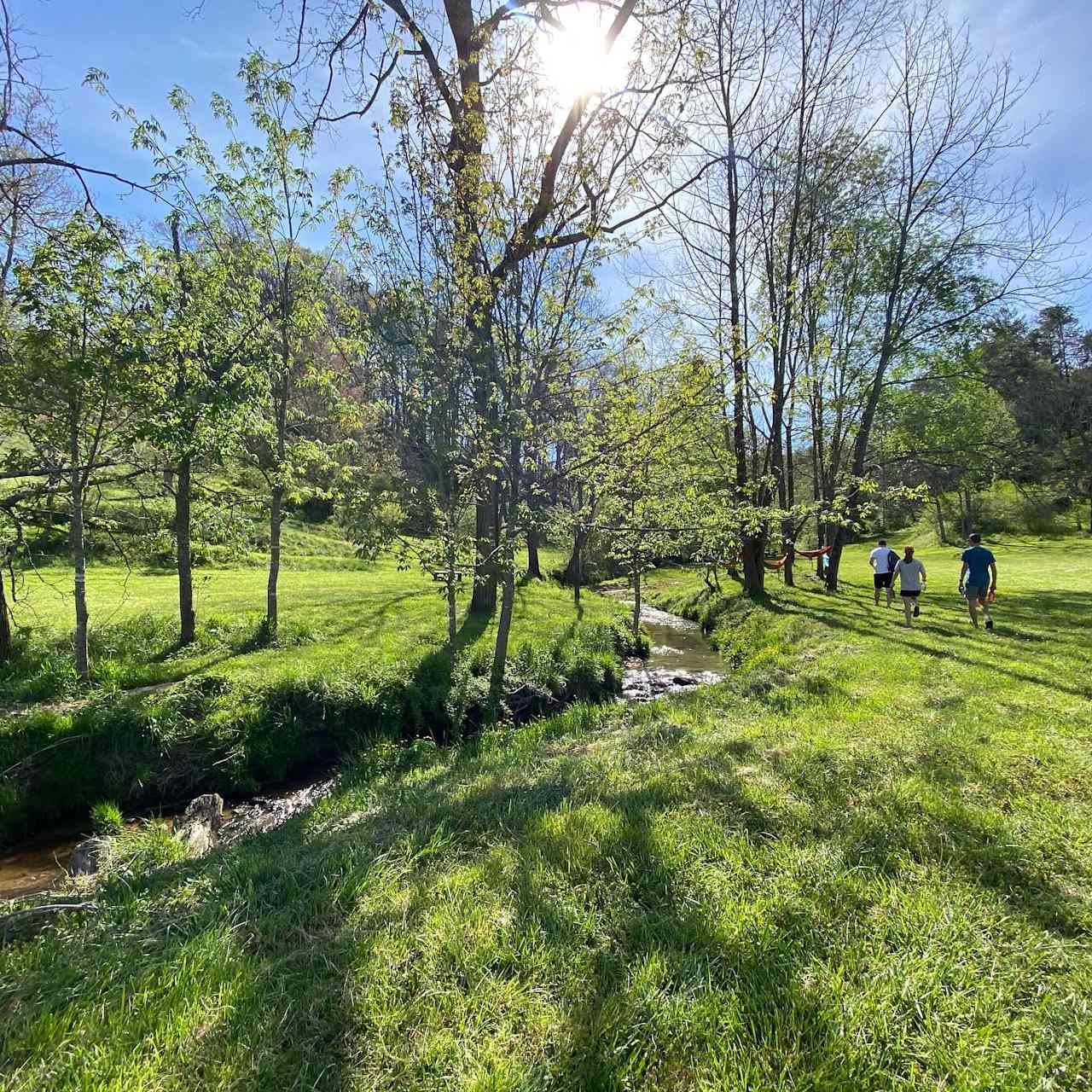 Streamside