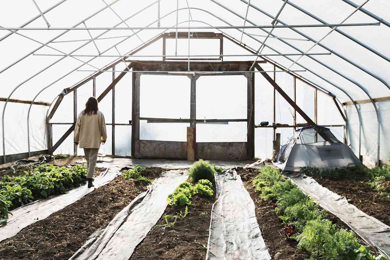 We seriously considered sleeping in the greenhouse, it felt so good to be in there! 