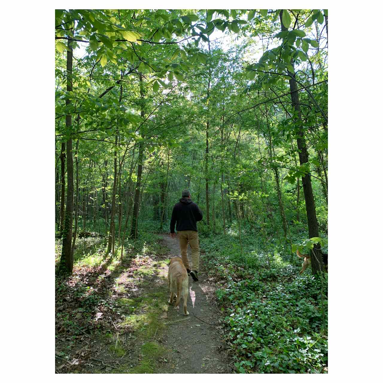 Short trails run throughout the woods adjacent to the campsite.