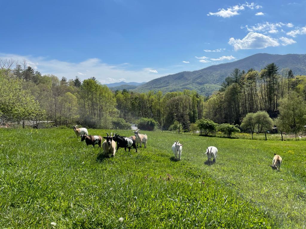 Mountain Shack on a farm