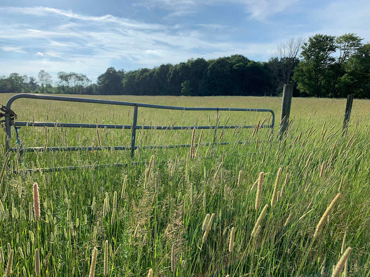 Peaceful Getaway at The “Big Farm”