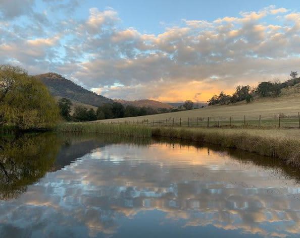 Roma Orchard - Hunter Valley