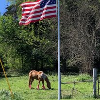 Equine Estates Rustic Horse Ranch