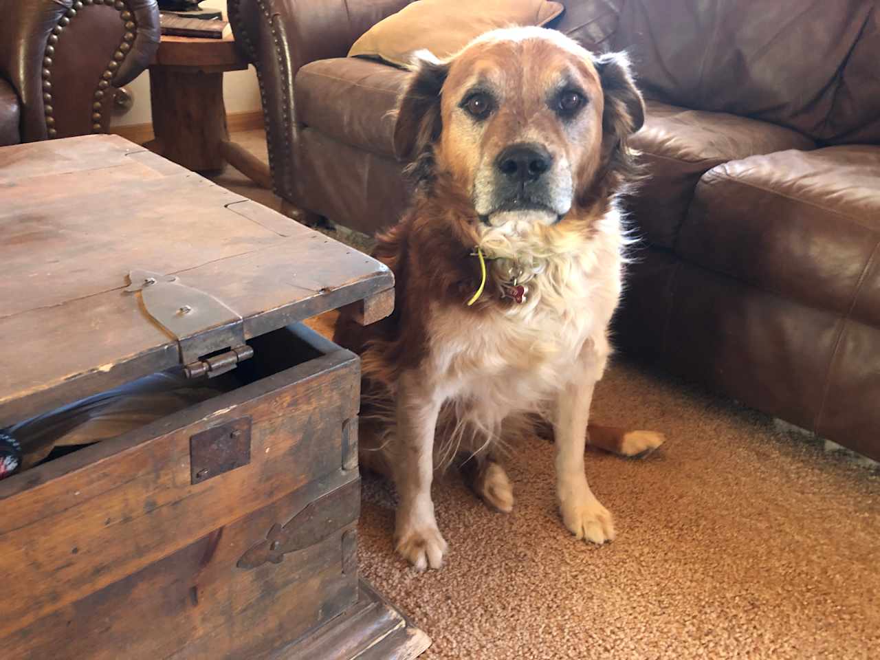 Red the ranch dog. We became fast friends.