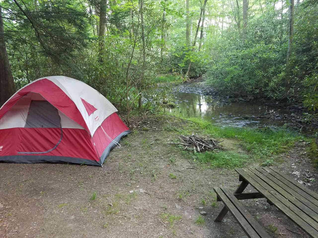 Bald Eagle Campsite