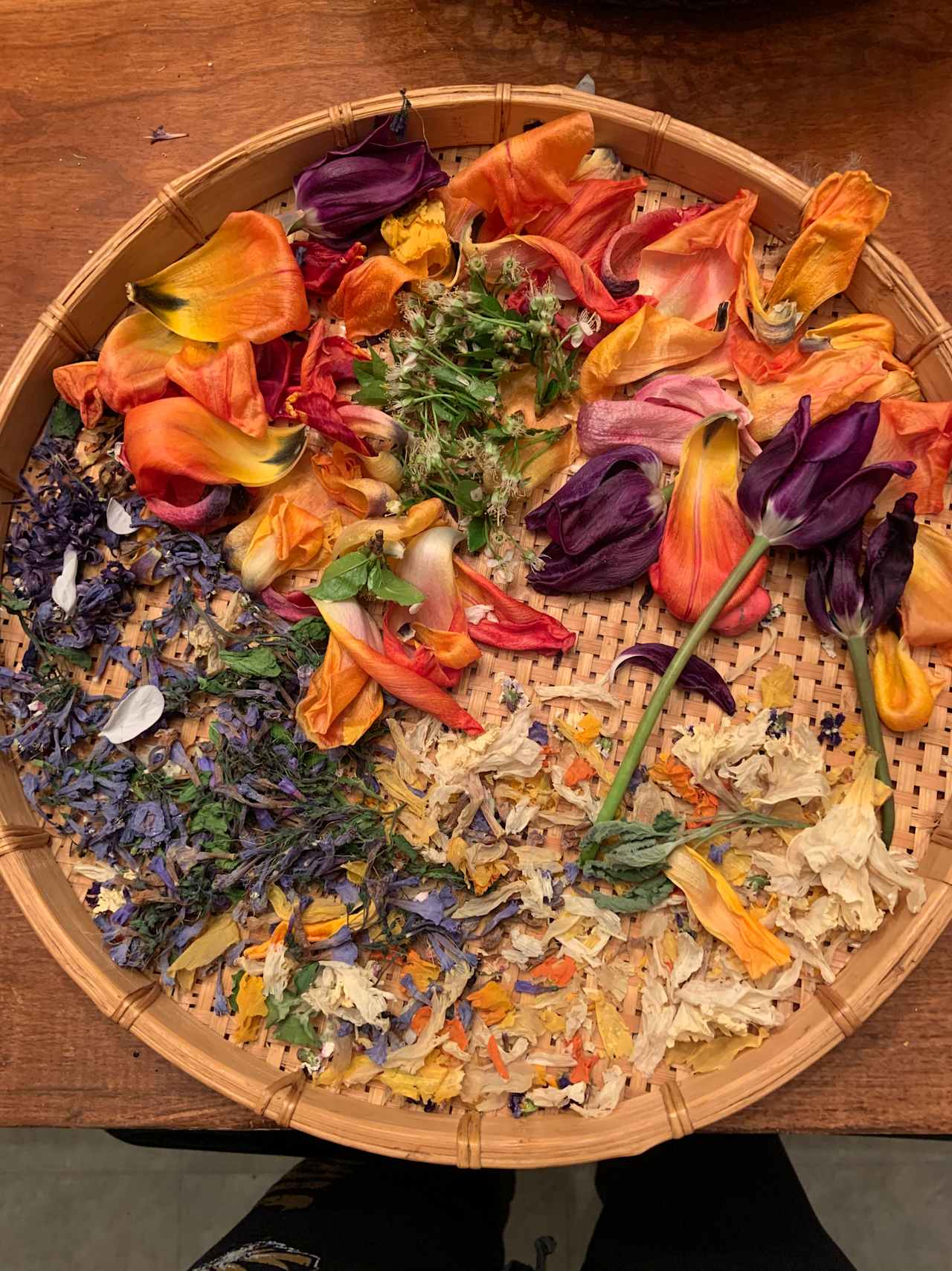 Drying flowers from the homestead for our homemade bath products. 