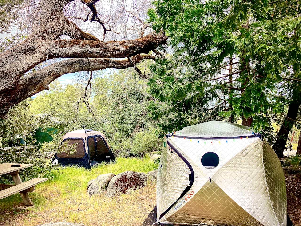 Campsite #1