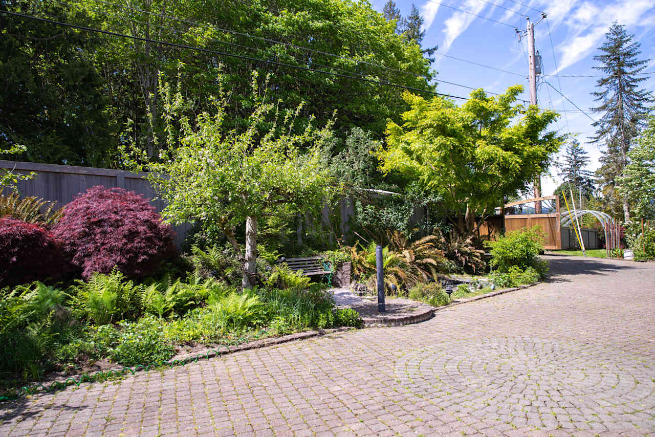 Landscape of the driveway as you enter the property