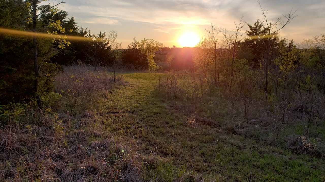 Sunset in the trails out in the back 20 acres