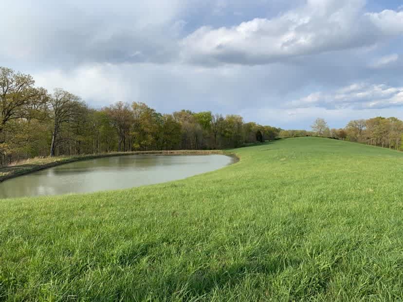 The photo of the pond campsite. (A photo of the woods camp site coming soon.) 