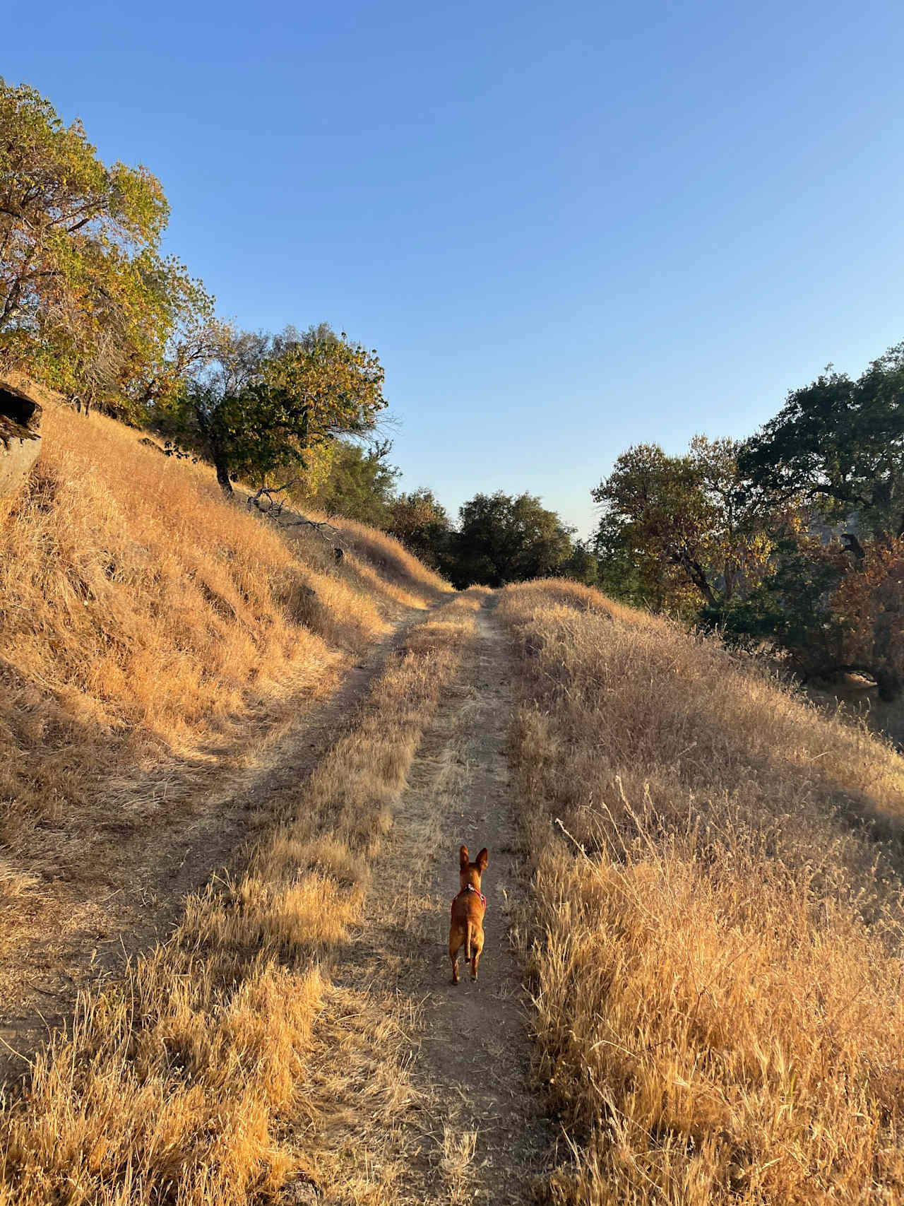 River Ridge Ranch -722 acres