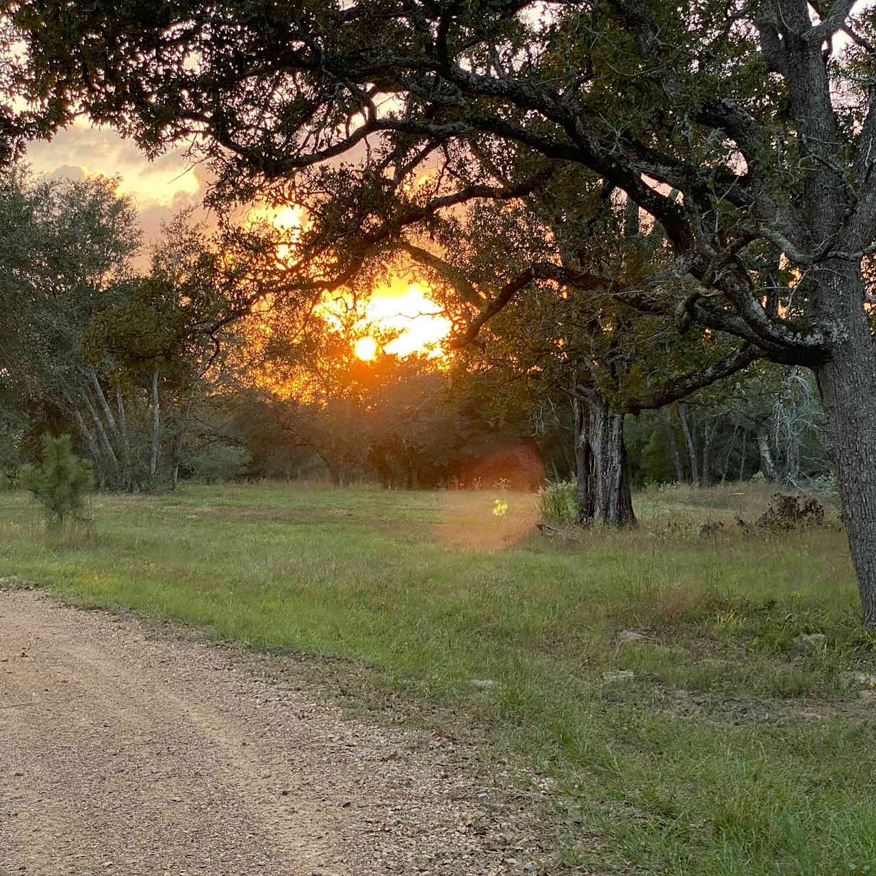 Wolf Oak Ranch. Wooded ranch