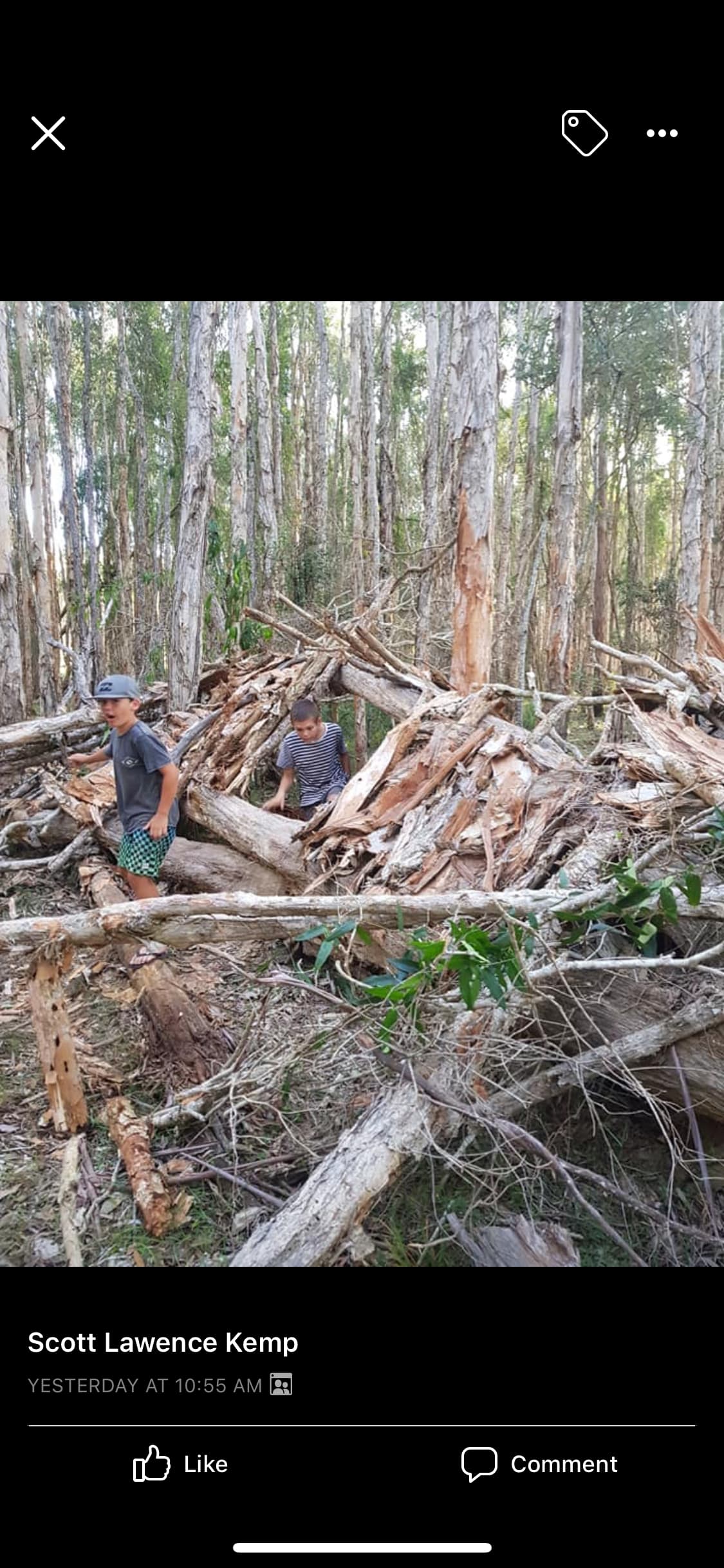 Pipe Dream Bush Camp - Dog Friendly