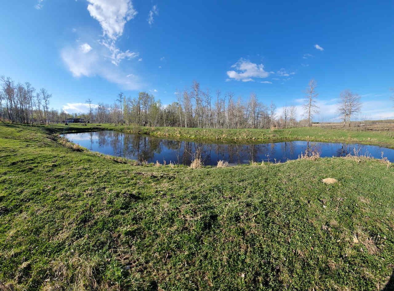 Pasture Land Mixed with Treed Land