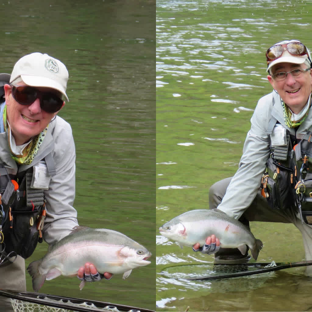 A beautiful rainbow trout