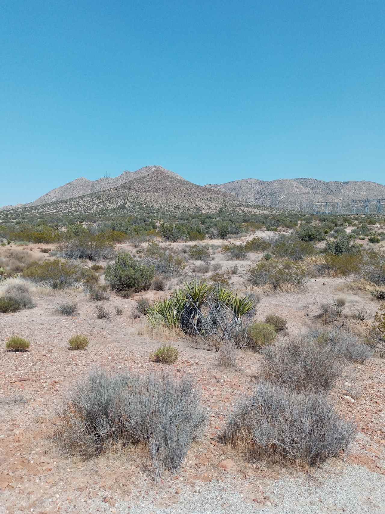 Hip High Desert Peace Camp