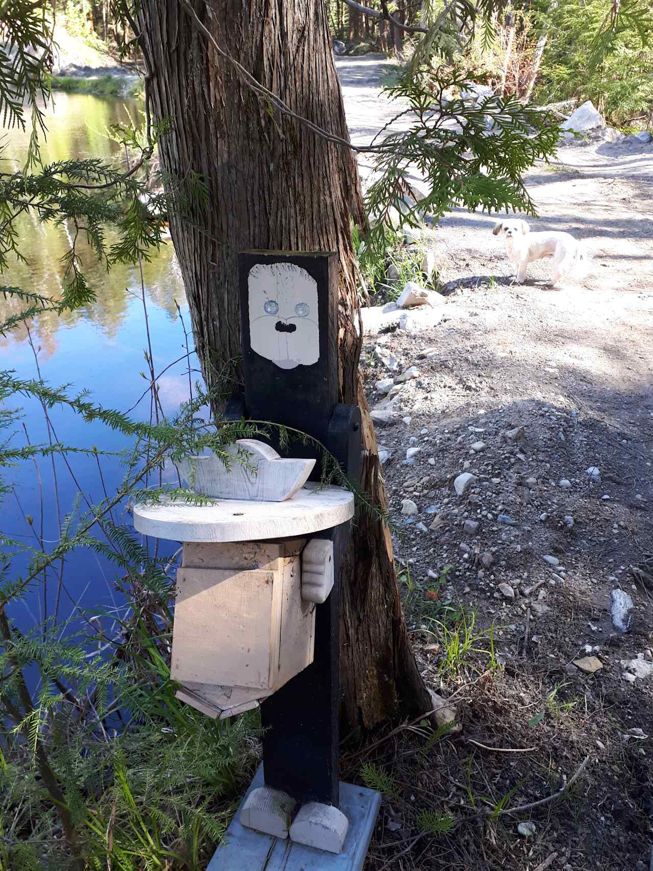 Cedar Creek Forest Camping