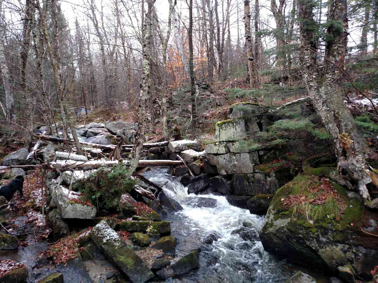 Weir Mill Brook