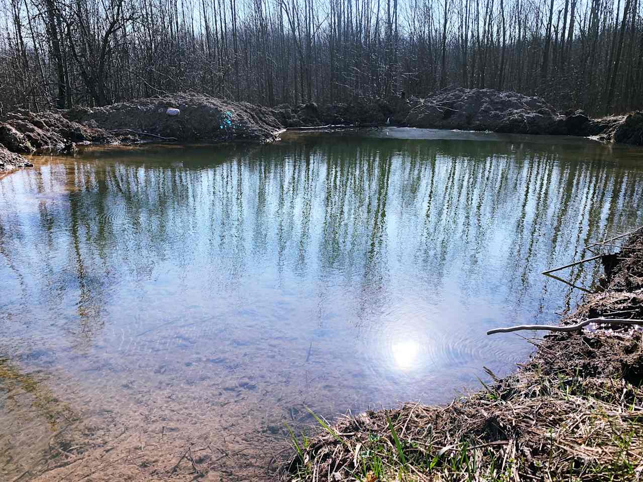 Pond nearby the back forest