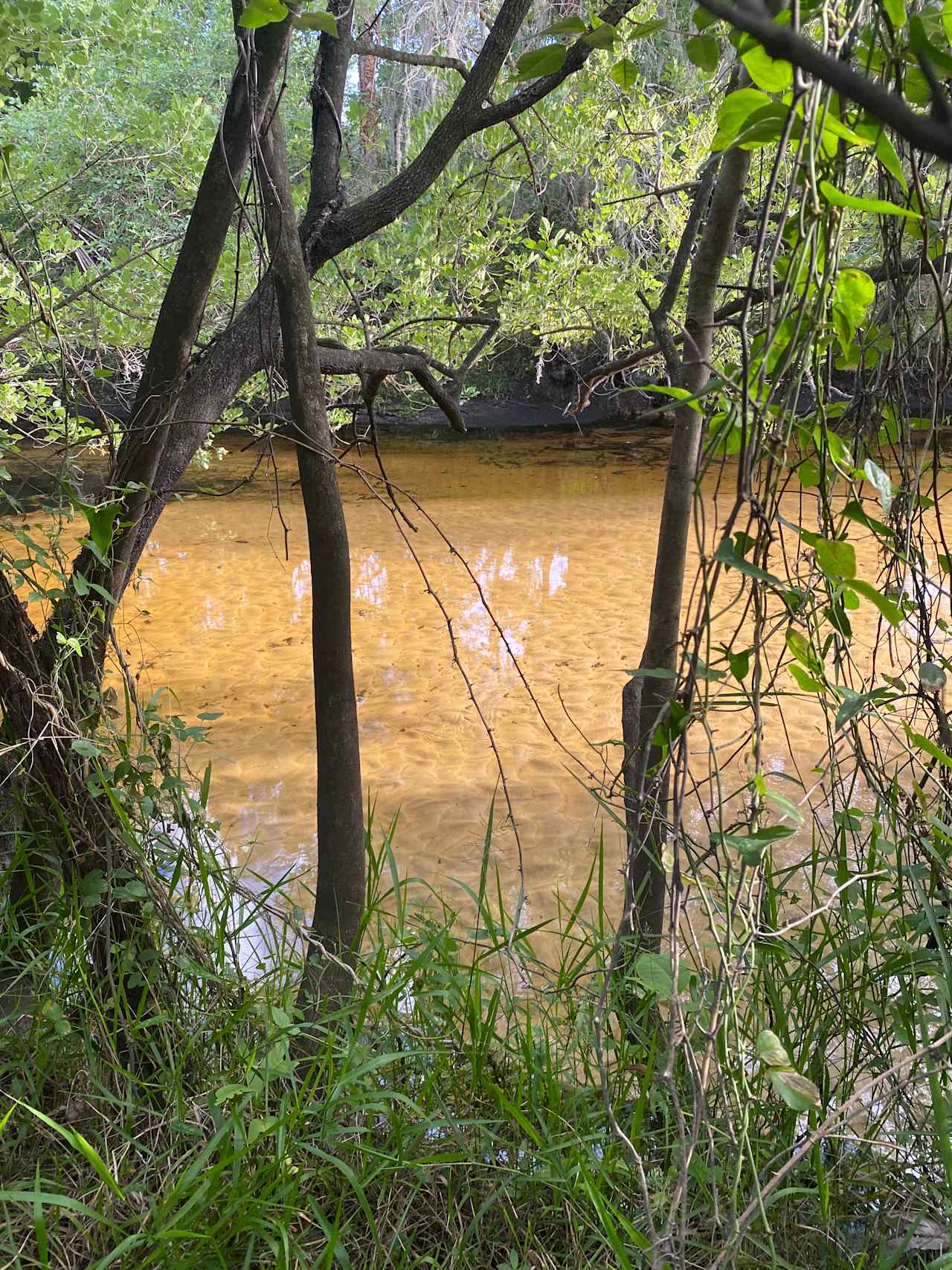 Sandy Bottom River Retreat