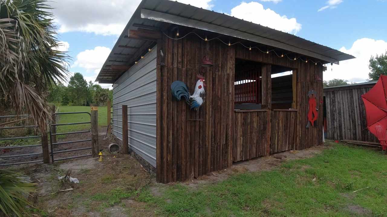 Horse Stalls...