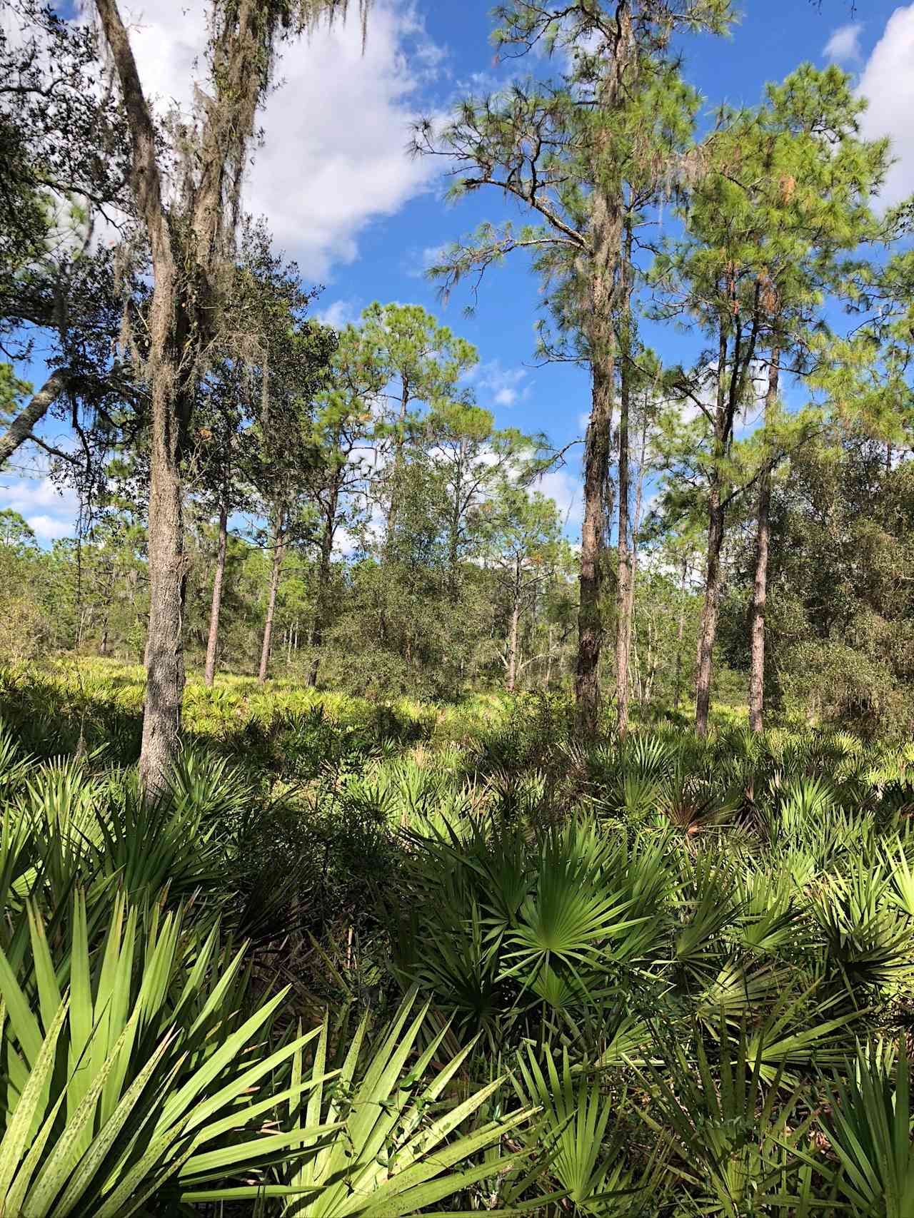 Sandy Bottom River Retreat