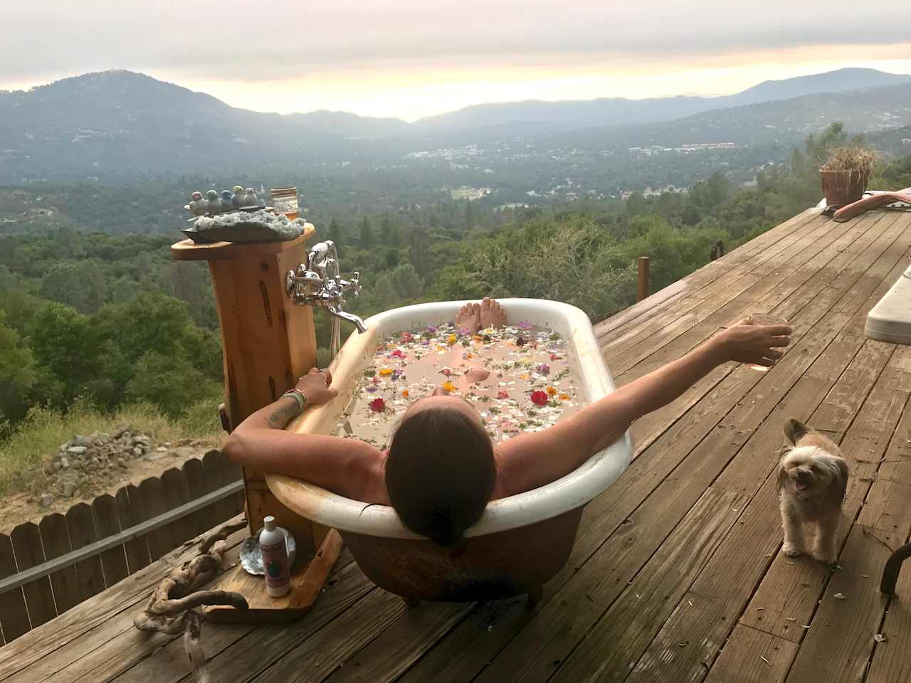 Blissful Retreat